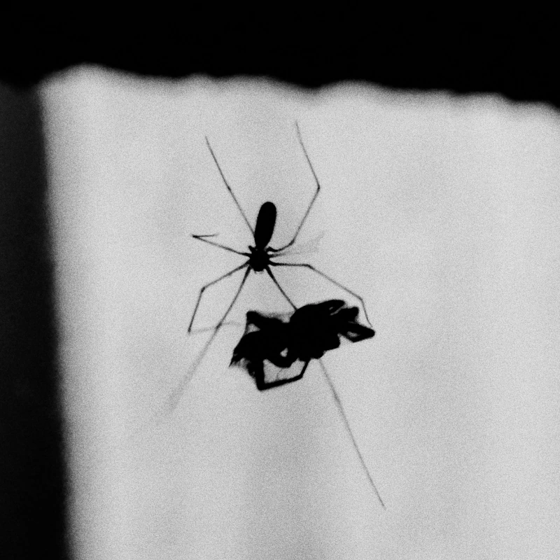 The brutal reality of life.